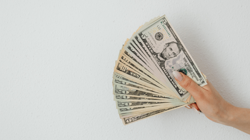 a person holding a pile of money