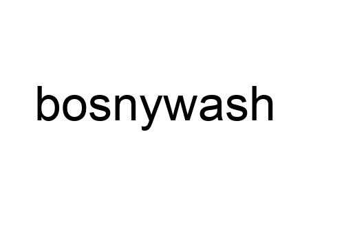 bosnywash