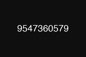 9547360579