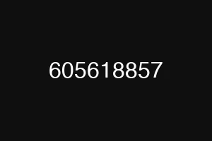 605618857