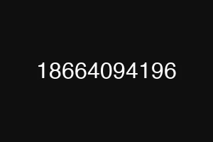 18664094196
