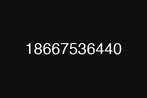 18667536440