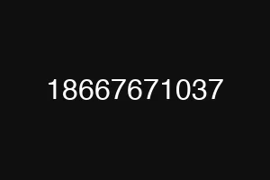 18667671037