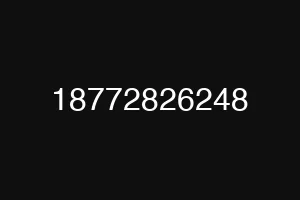 18772826248
