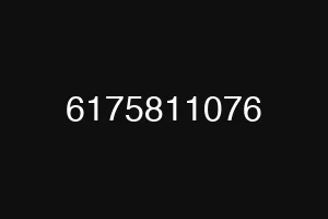 6175811076