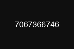7067366746