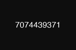 7074439371