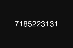 7185223131