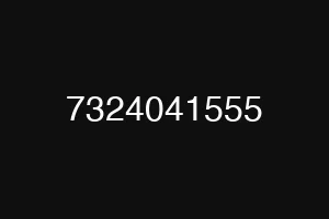 7324041555