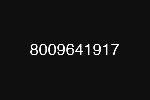 8009641917