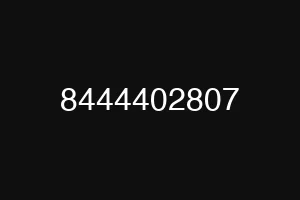 8444402807