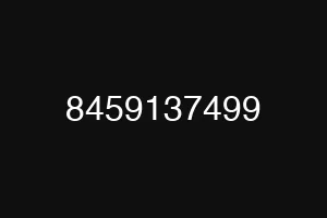 8459137499