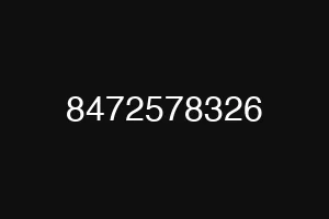8472578326