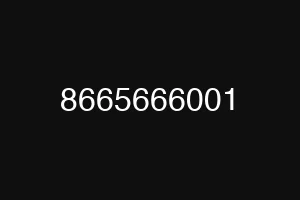 8665666001
