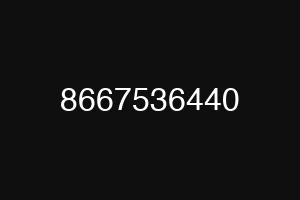 8667536440