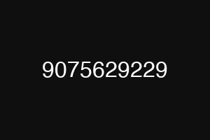 9075629229