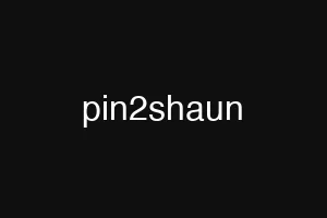 pin2shaun