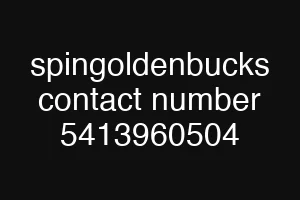 spingoldenbucks contact number 5413960504